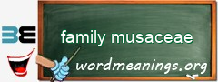 WordMeaning blackboard for family musaceae
